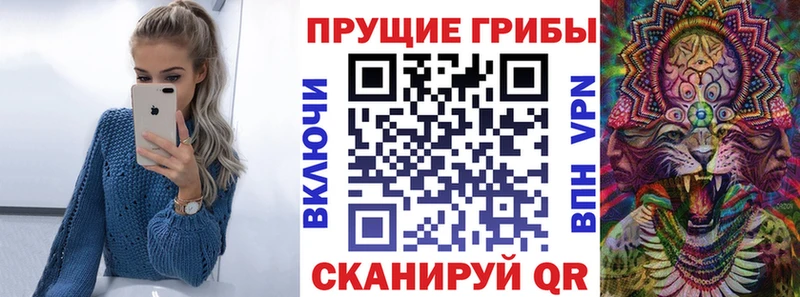 Псилоцибиновые грибы GOLDEN TEACHER  даркнет сайт  кракен tor  Карачев 