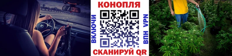 где можно купить наркотик  Карачев  МАРИХУАНА White Widow 